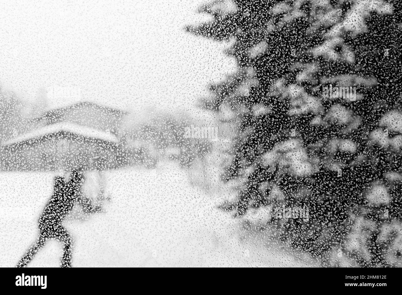 Unzählige kleine Tropfen Wasser auf dem Glas während eines Schneesturms. Baum, Person und Gebäude im unscharfen Hintergrund. SW Stockfoto