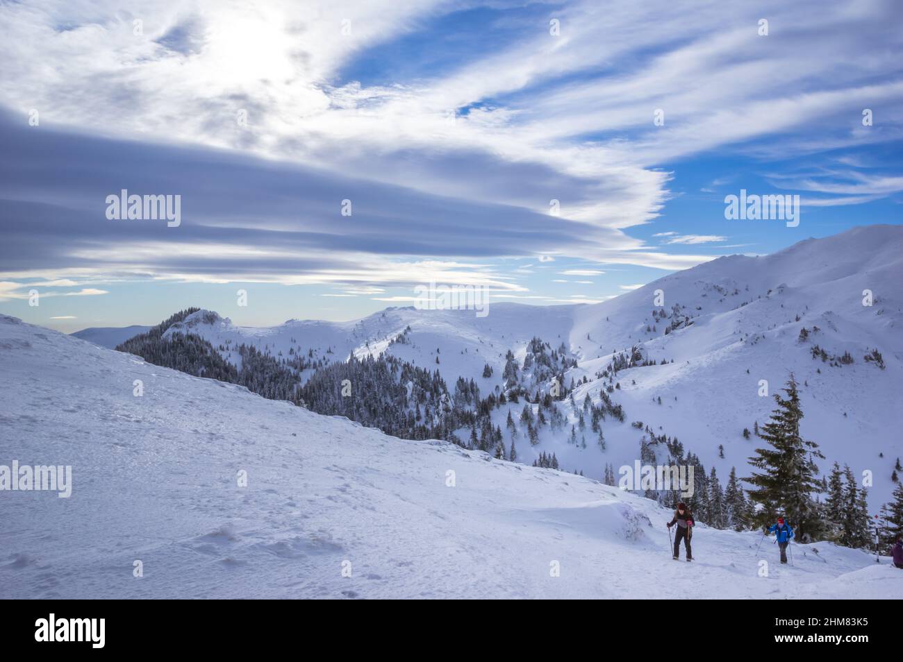 Ciucas Berge im Winter, Rumänische Karpaten. Tannenbäume und Wacholder voller gefrorenem Schnee. Es gibt Wanderer im Bild. Stockfoto