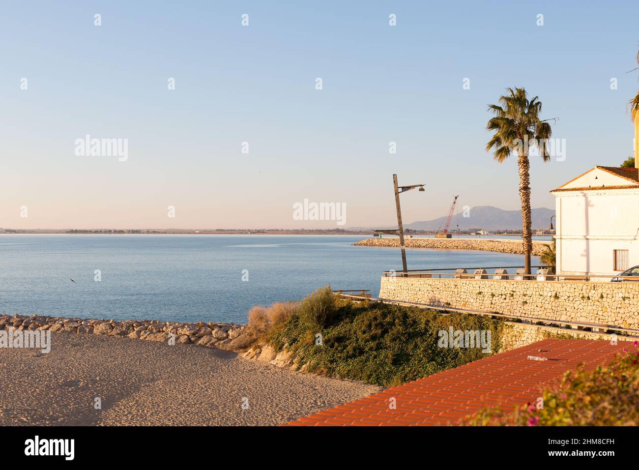Einone Palme an einem mediterranen Strand Stockfoto