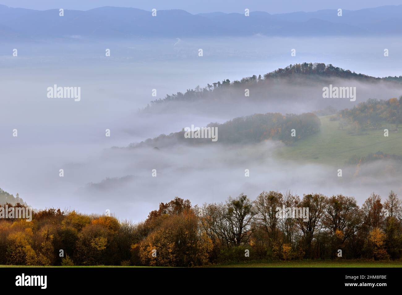 Neblige Berglandschaft im Herbst. Am frühen Morgen. Tal mit Mischwald und bunten Bäumen. Natürlicher Hintergrund, Tapete. Vrsatec, Slowakei. Stockfoto