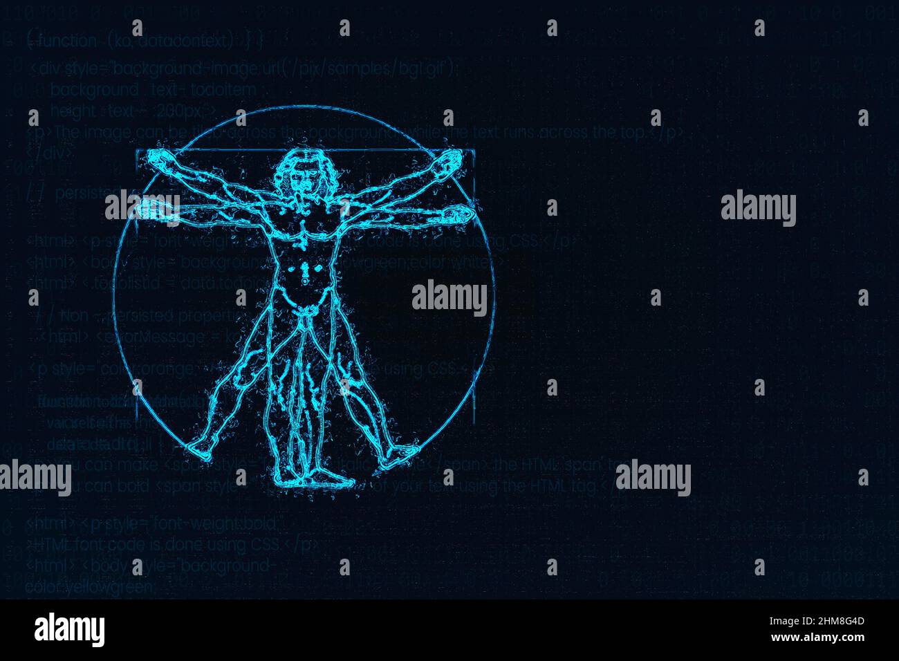 Vitruvianische Mensch von Leonardo Da Vinci Stockfoto