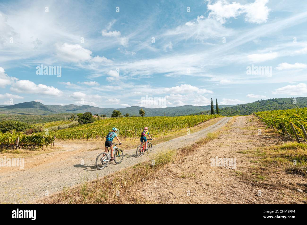 Traverso le vigne nei pressi di Castagneto Carducci, Toscana, Italia Stockfoto