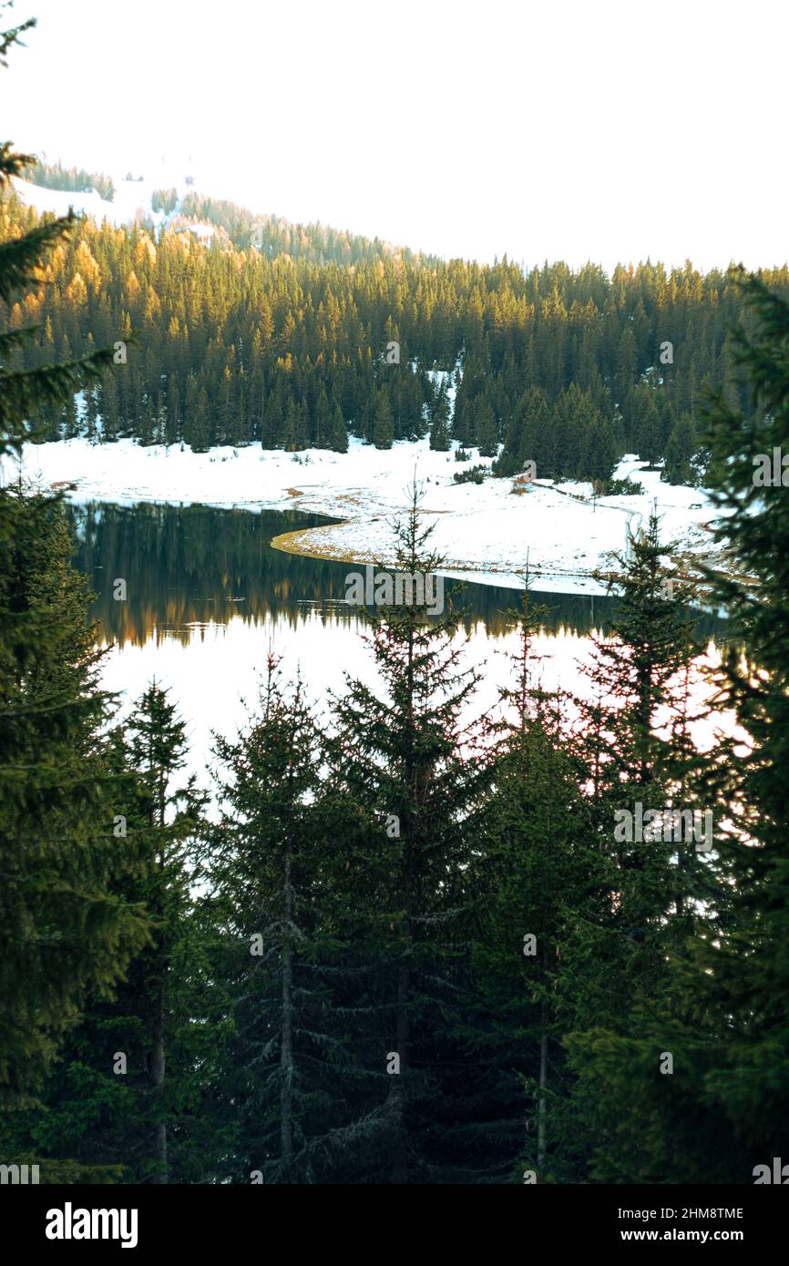 il Lago nel Bosco Stockfoto