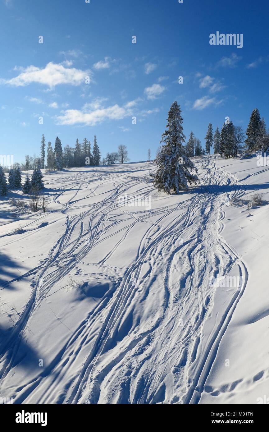 Neuschnee auf der Skipiste in Bialka Tatrzanska in Polen. Landschaftlich schöne sonnige Winterlandschaft. Stockfoto