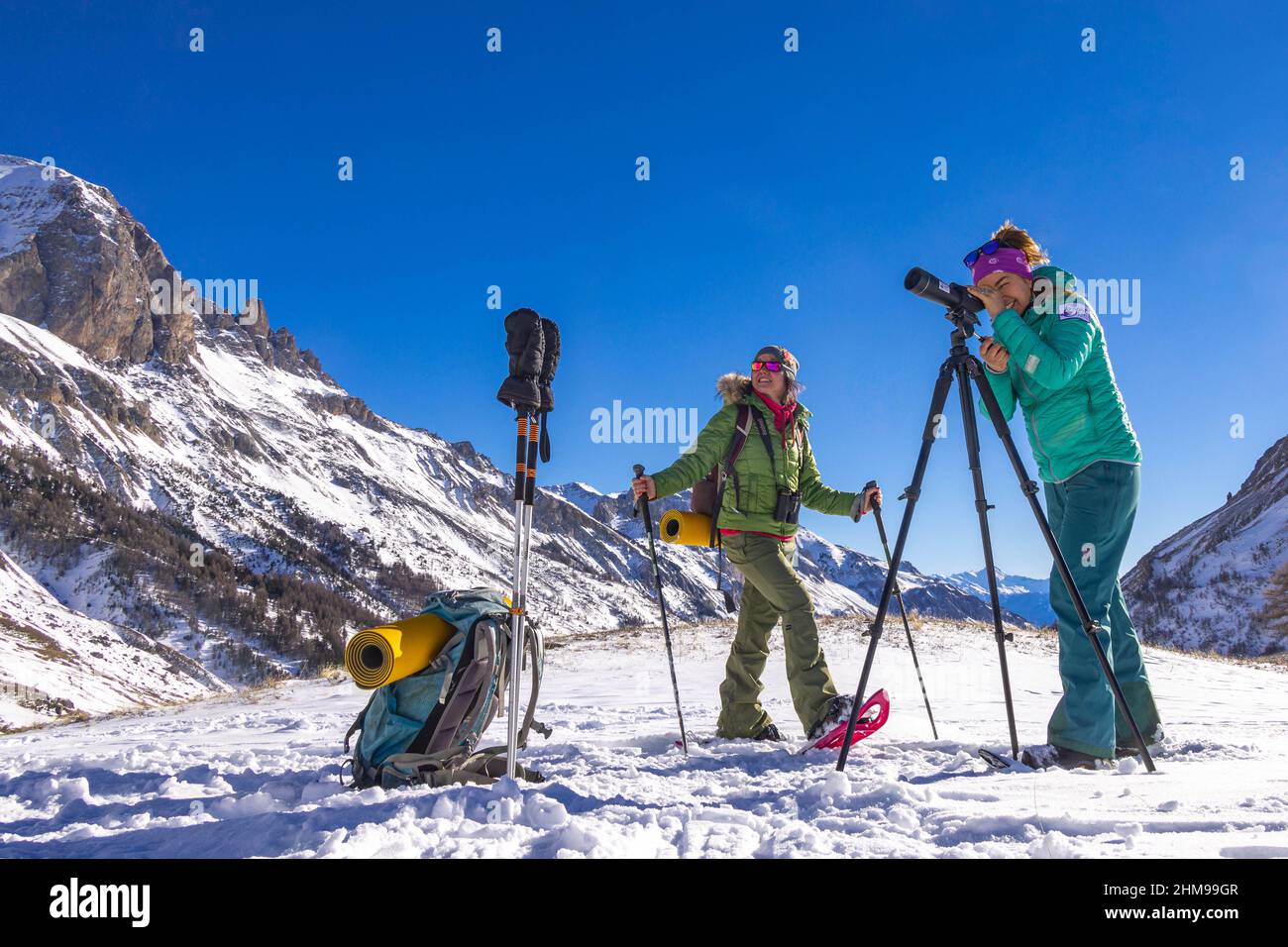 Frankreich. Hautes-Alpes (05) Ecrins National Park, von der Spitze des Skigebiets Serre Chevalier, Beobachtung der Tierwelt mit einem Teleskop mit Rachel Bourg, Stockfoto