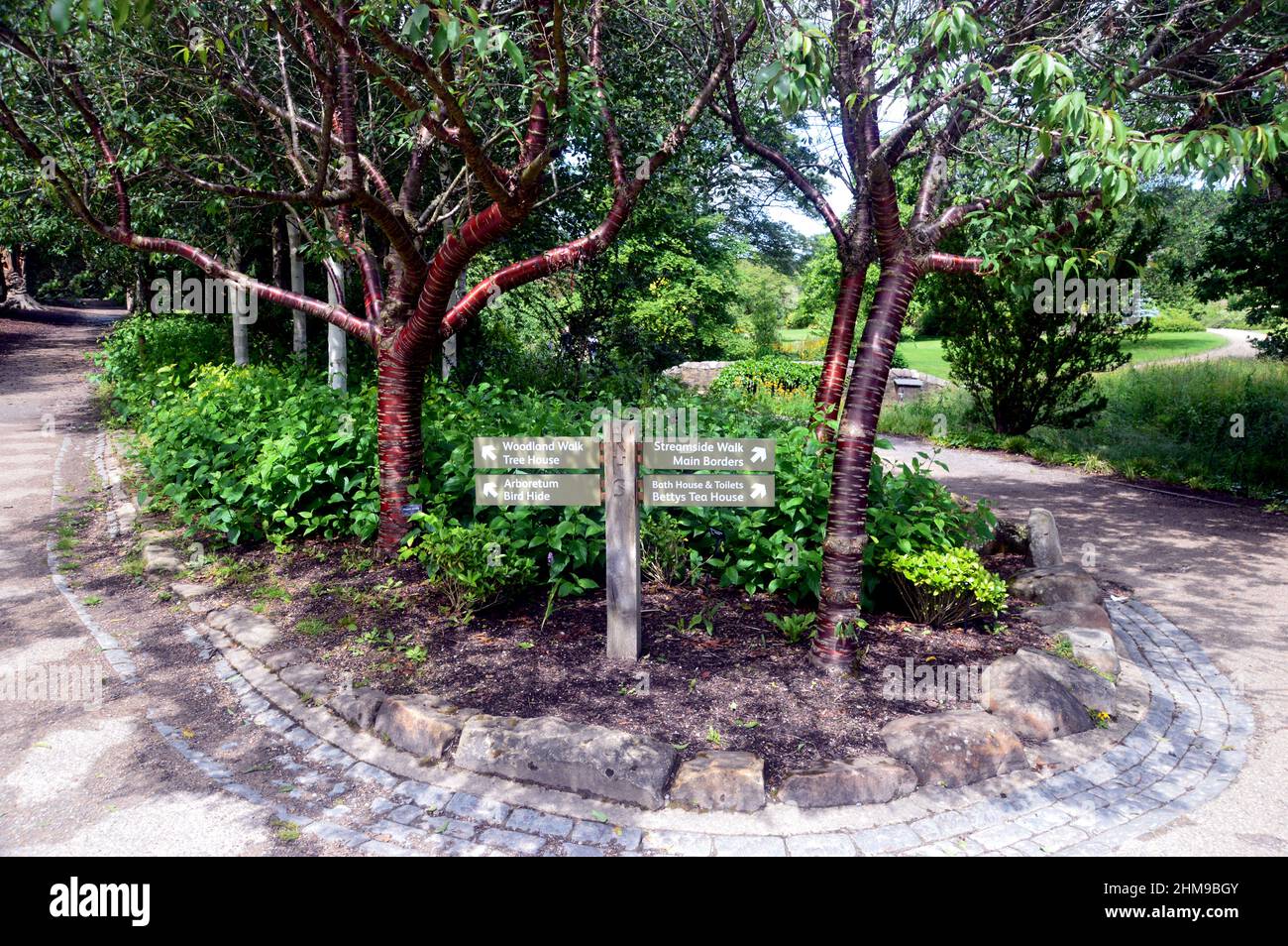 Holzschilder für Woodland & Streamside Spaziergänge, Betty's Tea Room und das Arboretum im RHS Garden Harlow Carr, Harrogate, Yorkshire, Großbritannien. Stockfoto