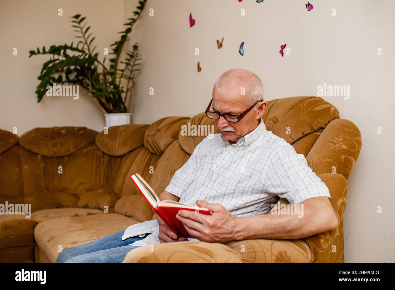 Porträt eines älteren, gutaussehenden weisen Mannes, der in einem Raum auf einem Sofa sitzt und ein akademisches Buch liest. Lächelnder, reifer 60s kaukasischer Mann, der die Bibel der Familie liest Stockfoto