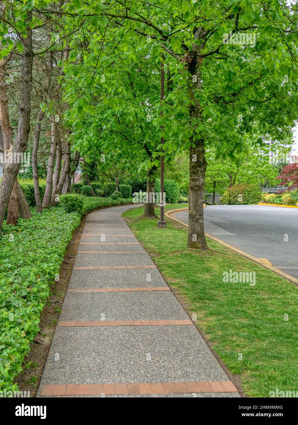 Gepflasterter Pfad in einem Park durch ein Wohngebiet in Vancouver, Kanada Stockfoto