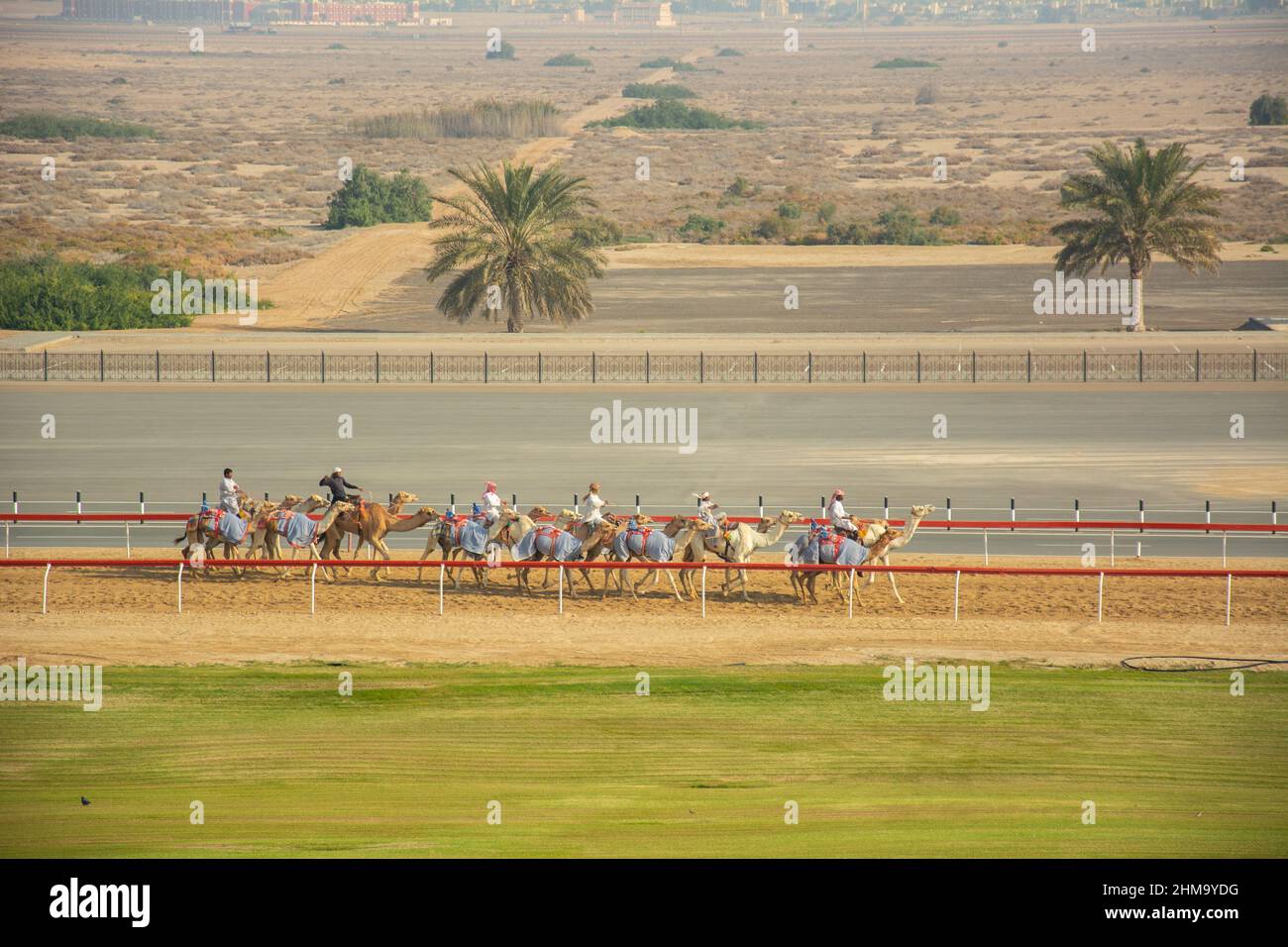 Afghanische und pakistanische Kameljokeys beim Training für das Kamelrennen in Al Wathbah, Abu Dhabi Stockfoto