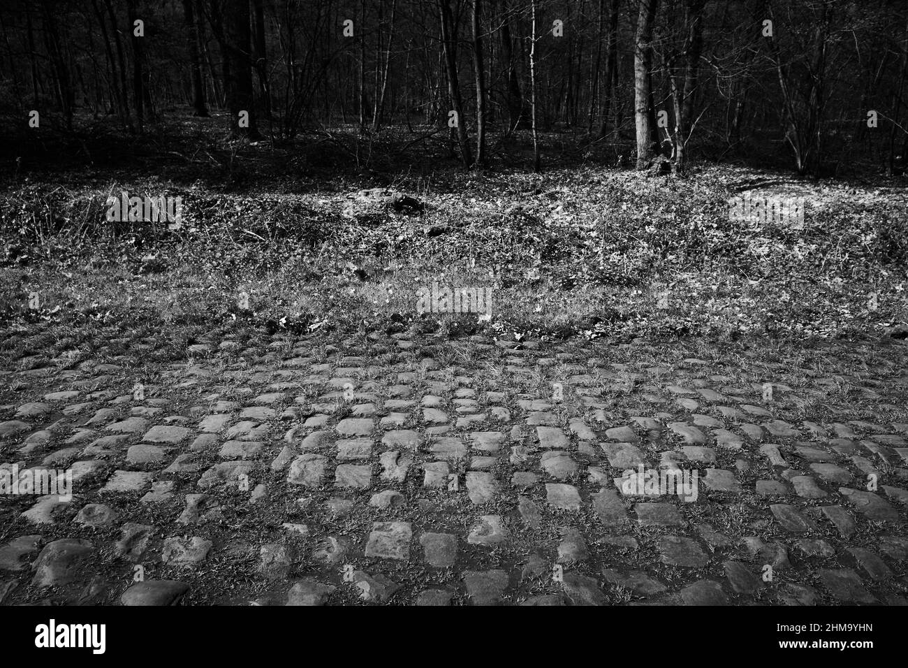 la troue d'arenberg - der Arenberg-Graben Stockfoto