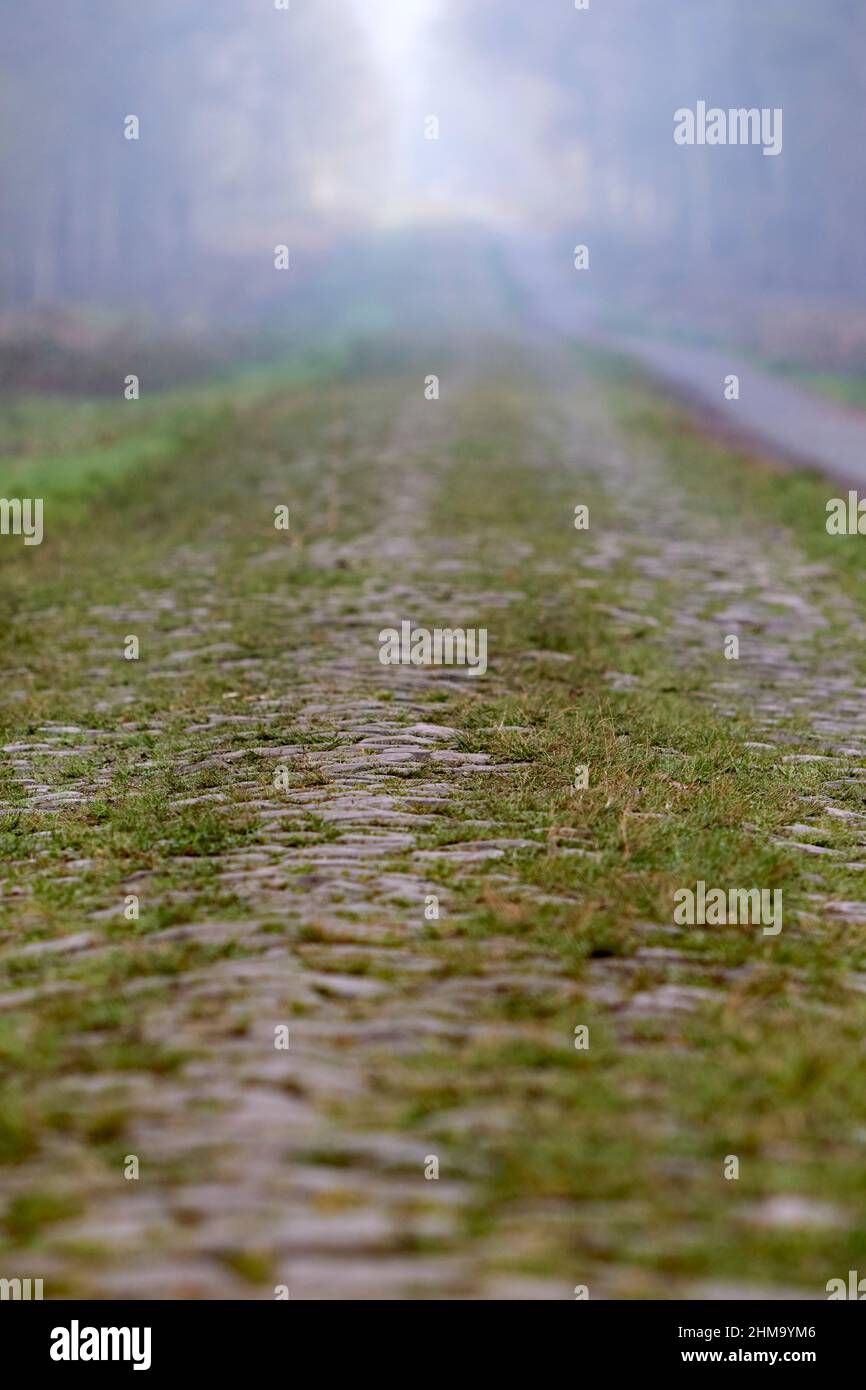 la troue d'arenberg - der Arenberg-Graben Stockfoto