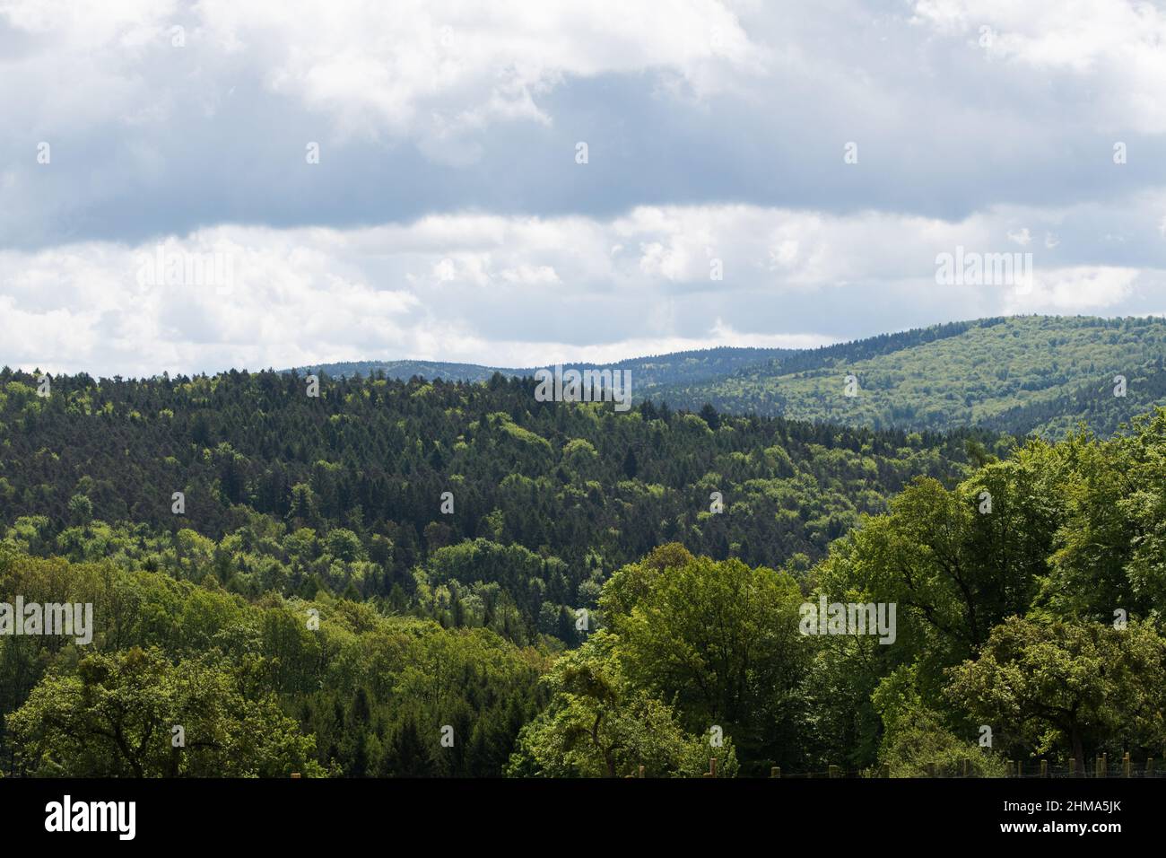 Blick auf den Spessart Stockfoto