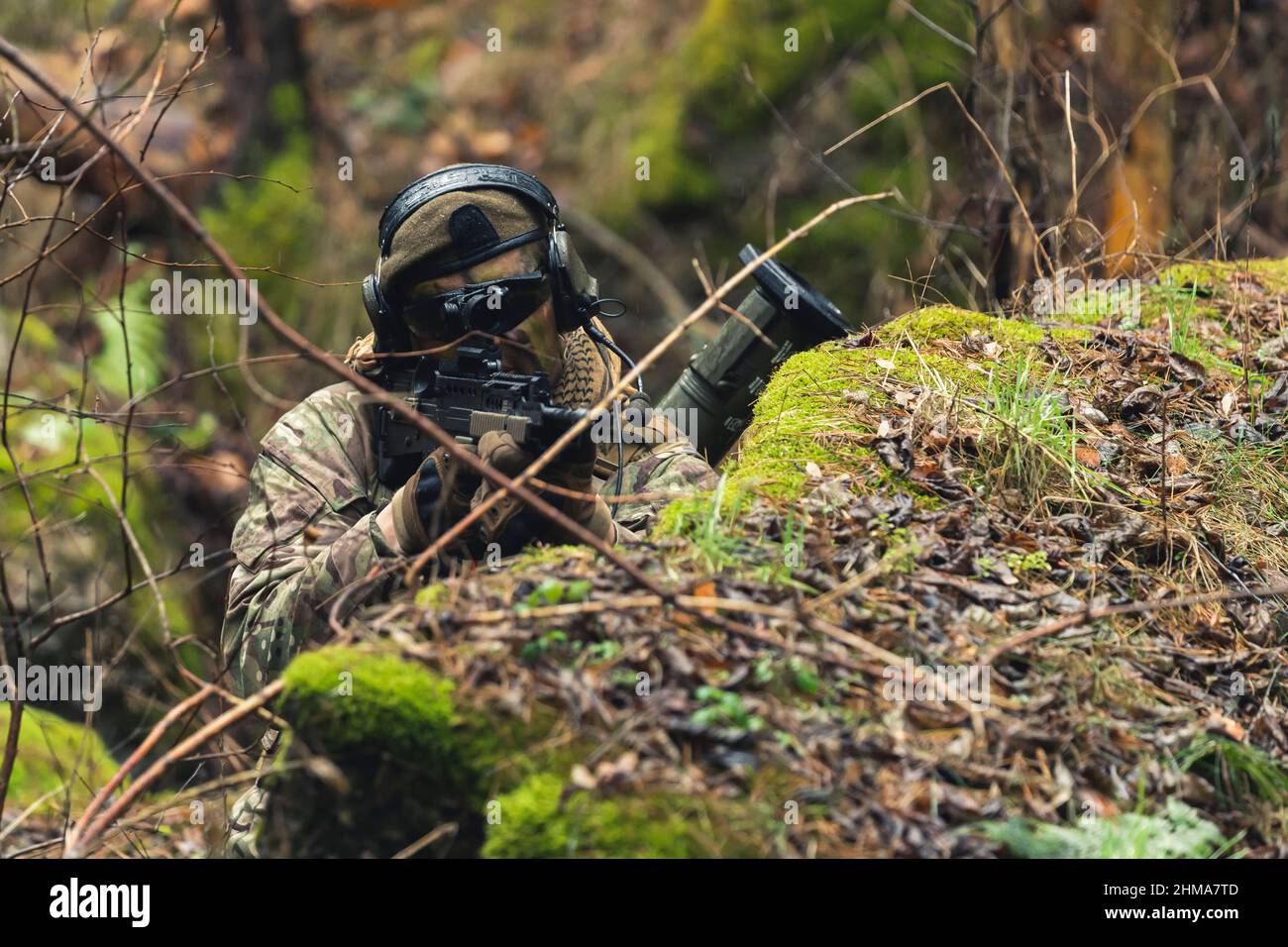 Adler wie präzises Zielgewehr, getarnt im Wald. Hochwertige Fotos Stockfoto