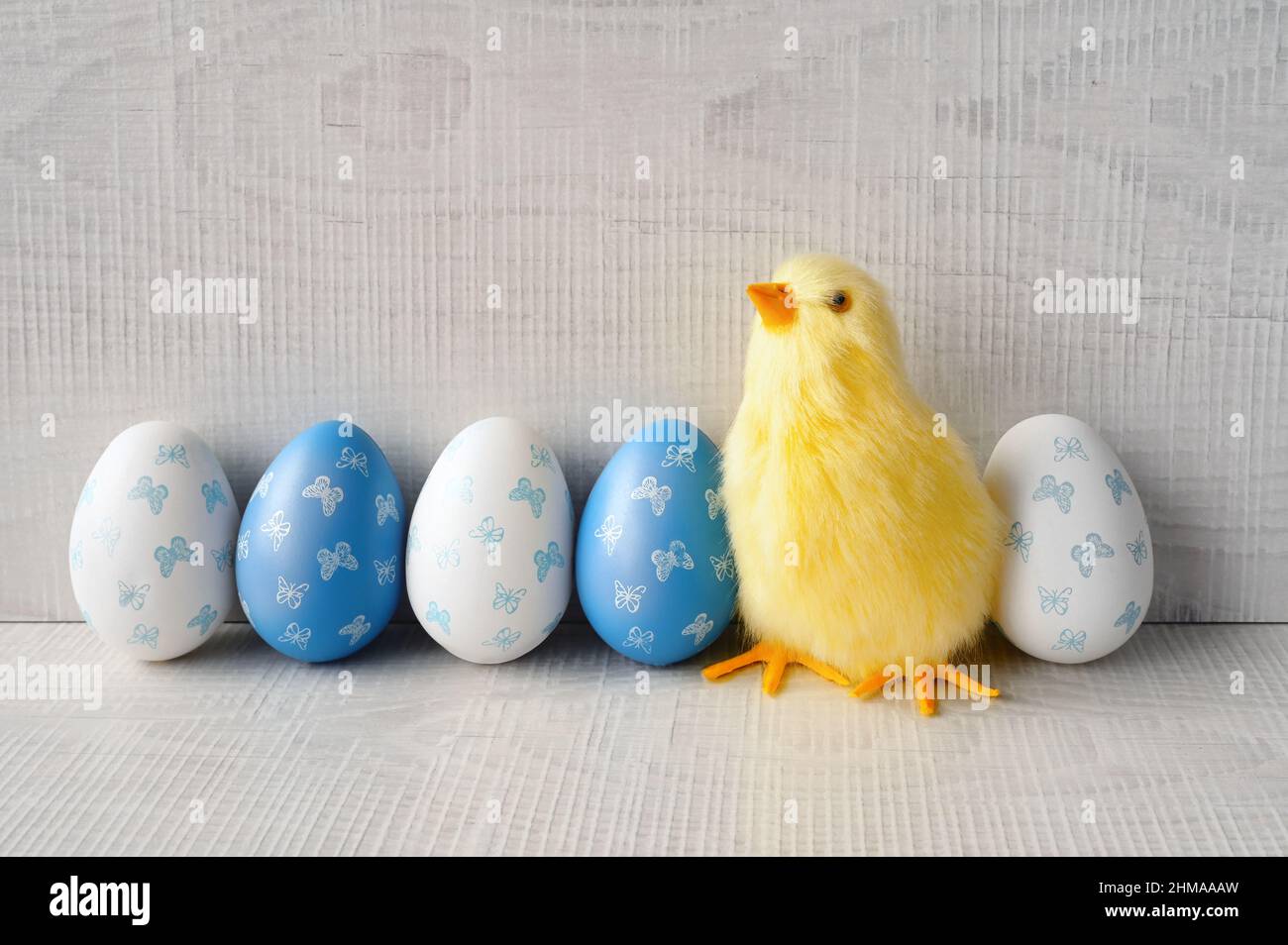 Ostereier und gelbes Küken auf grauem Hintergrund. Das Minimalkonzept. Osterkarte. Stockfoto