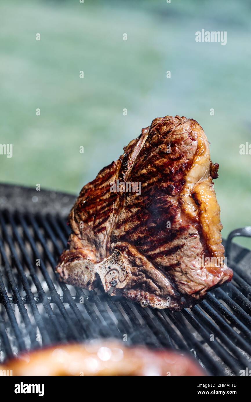 Verschiedene Steaks, darunter Rib Eye, T-Bone, Filetsteak und Rumpsteak. Filet- und Lendenschürzschnitt. Trockenes, gereiftes Rindfleisch aus biologischem Anbau. Stockfoto