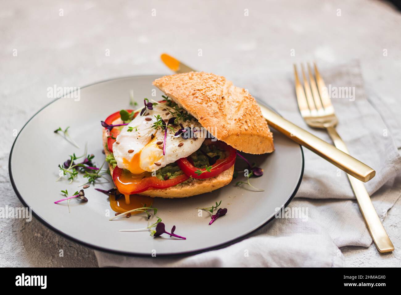 Pochiertes Ei auf einem Brötchen mit Avocado, Paprika und Mikrogrün auf einem grauen Teller. Gesundes Frühstück. Brunch-Idee. Sauberes Essen. Vegetarisch. Eiweißsauer Stockfoto