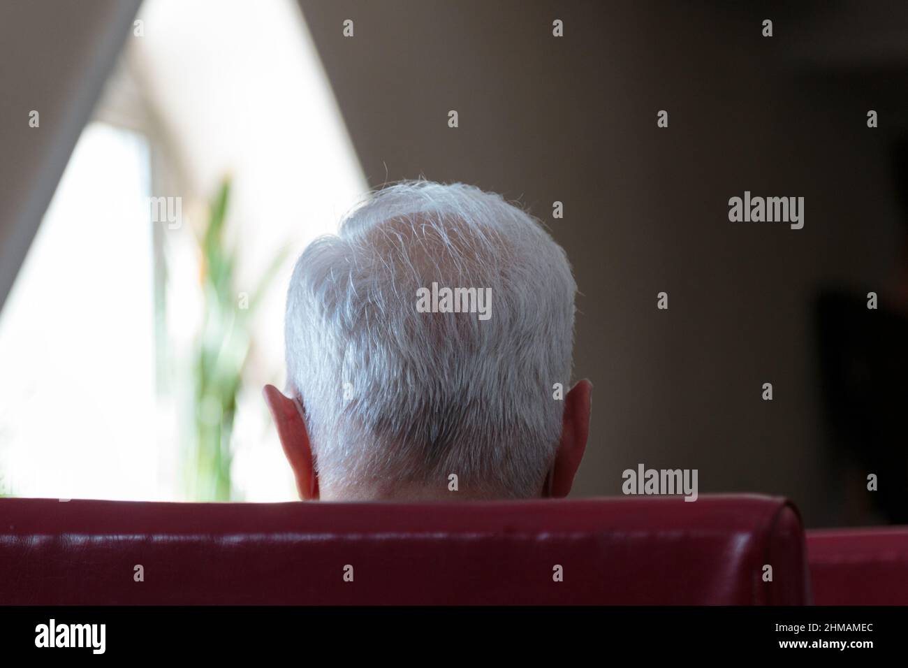 Auf dem Hinterkopf eines Mannes mit grauem Haar. Licht- und Schattenzeichnung. Nahaufnahme. Stockfoto Auf dem Hinterkopf eines Mannes mit grauem Haar. Licht- und Schattenzeichnung. Nahaufnahme. Stockfoto