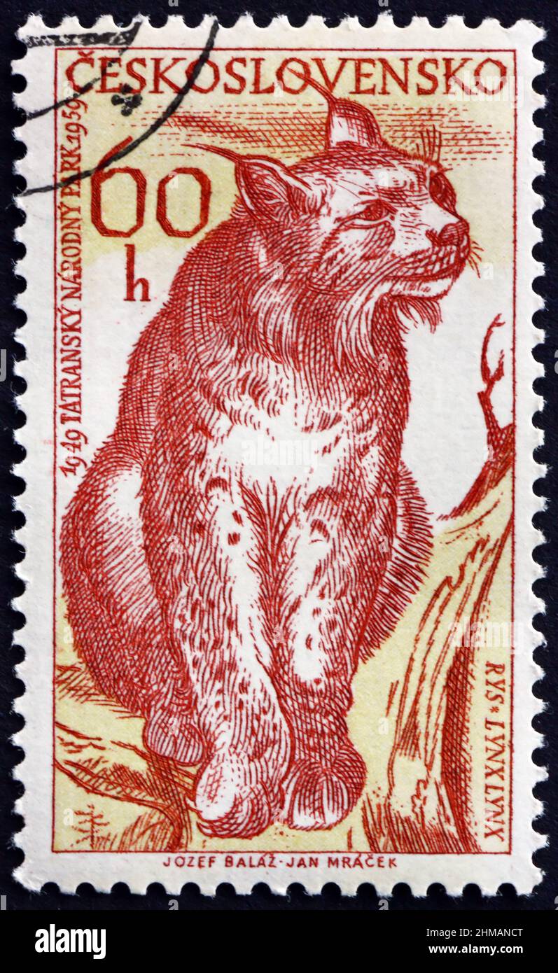 TSCHECHOSLOWAKEI - UM 1959: Eine in der Tschechoslowakei gedruckte Marke zeigt den eurasischen Luchs, den Luchs, eine mittelgroße Wildkatze, die in Europa und Asien beheimatet ist, Stockfoto