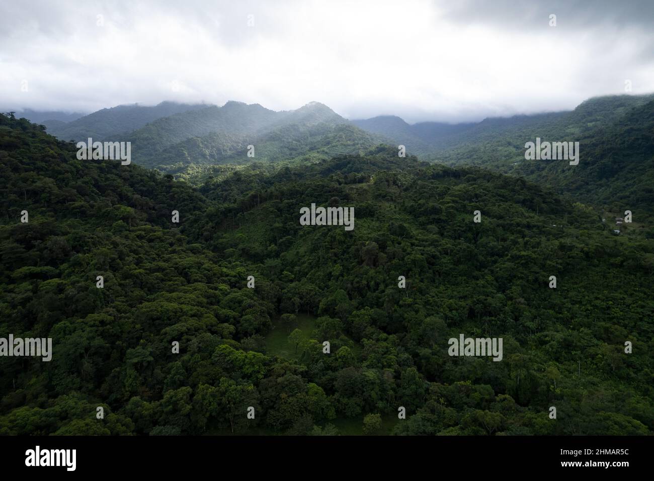 Luftaufnahme des tropischen Regenwaldes im Santa Fe National Park, Panama Stockfoto