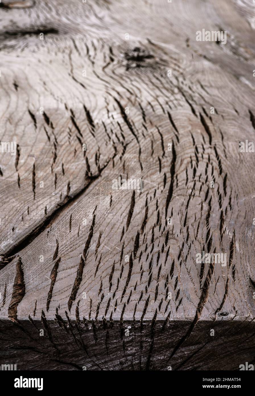 Leere alte gesprungene Eichendielen oder Tische. Nahaufnahme der Holzstruktur. Stockfoto