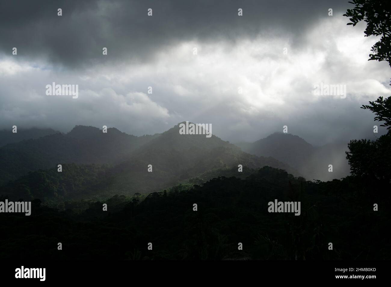 Pano ramische Sicht auf den tropischen Regenwald im Santa Fe National Park, Panama Stockfoto