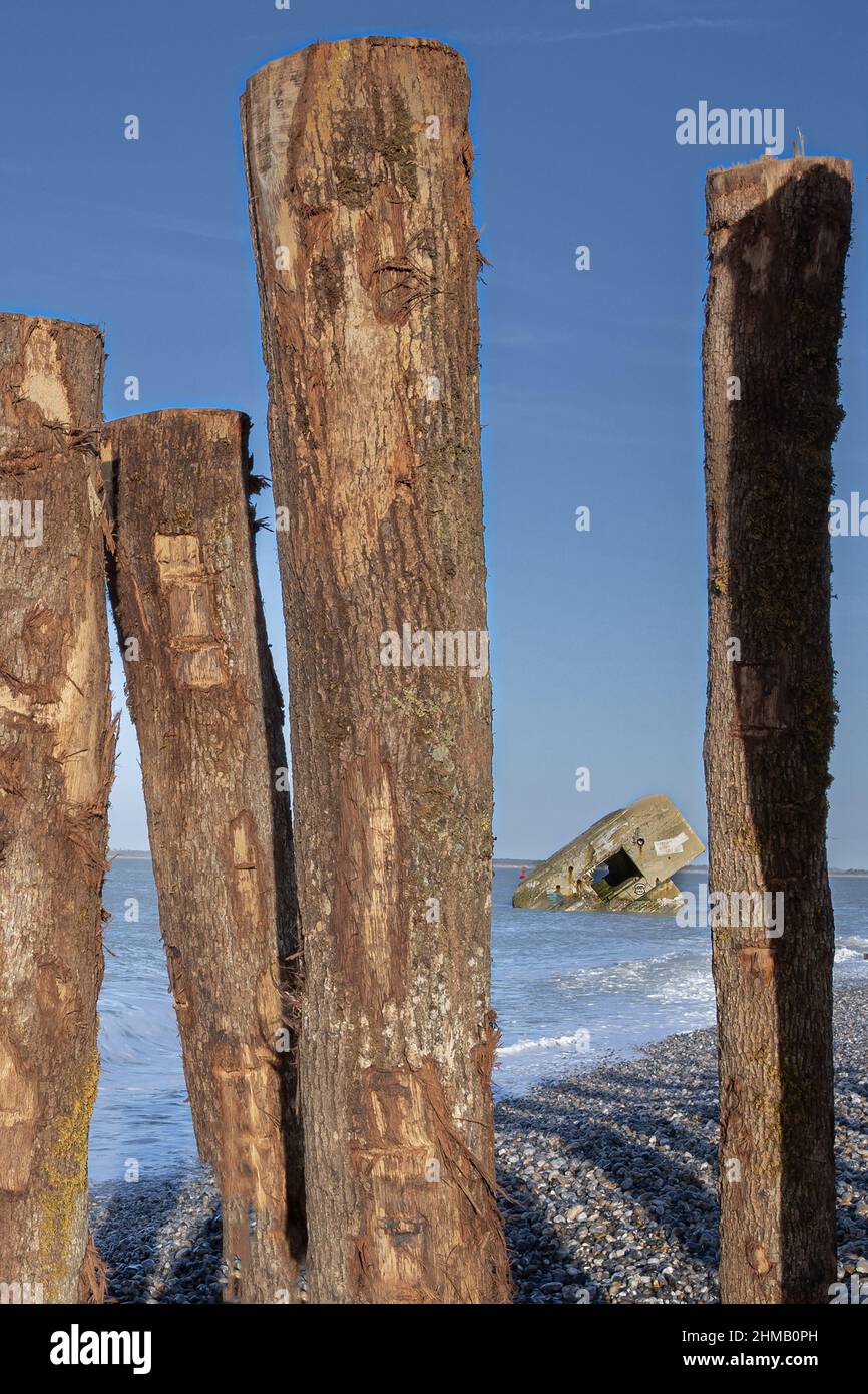 Le Hourdel, Route Blanche, pieux de bois , Protection du Littoral, blockhaus, Vigen Stockfoto