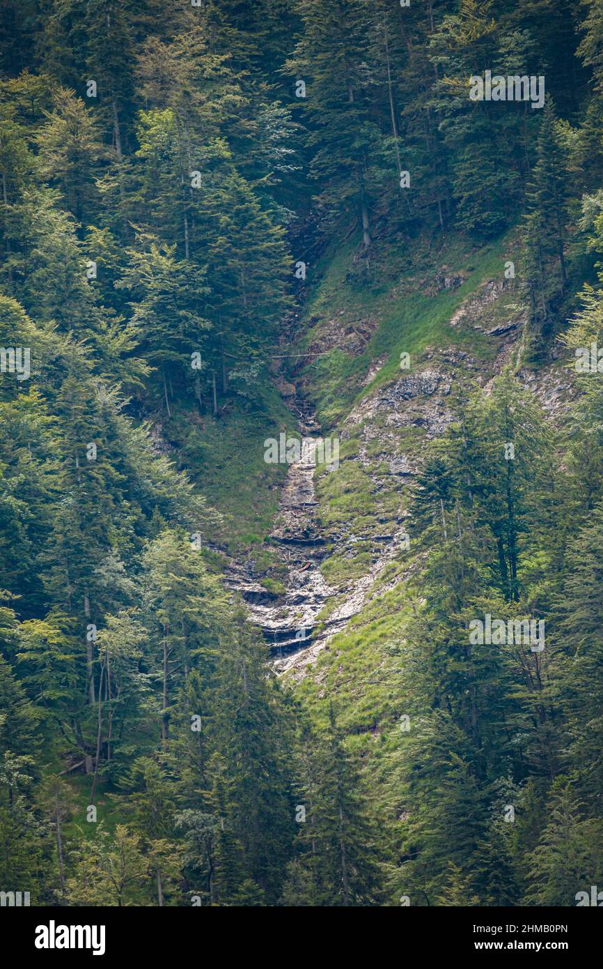 Felsen und Bäume in den Bergen Stockfoto