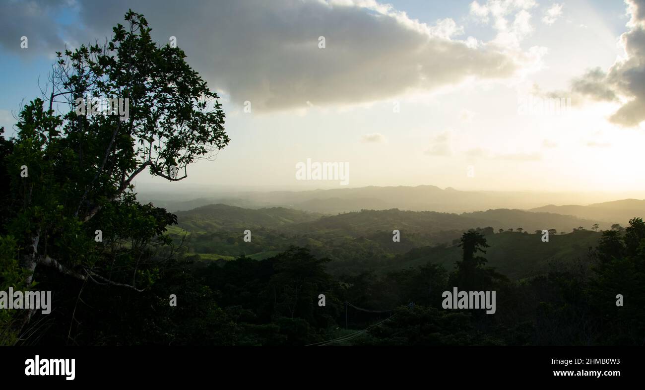 Pano Blick auf den tropischen Regenwald im Santa Fe National Park, Panama Stockfoto