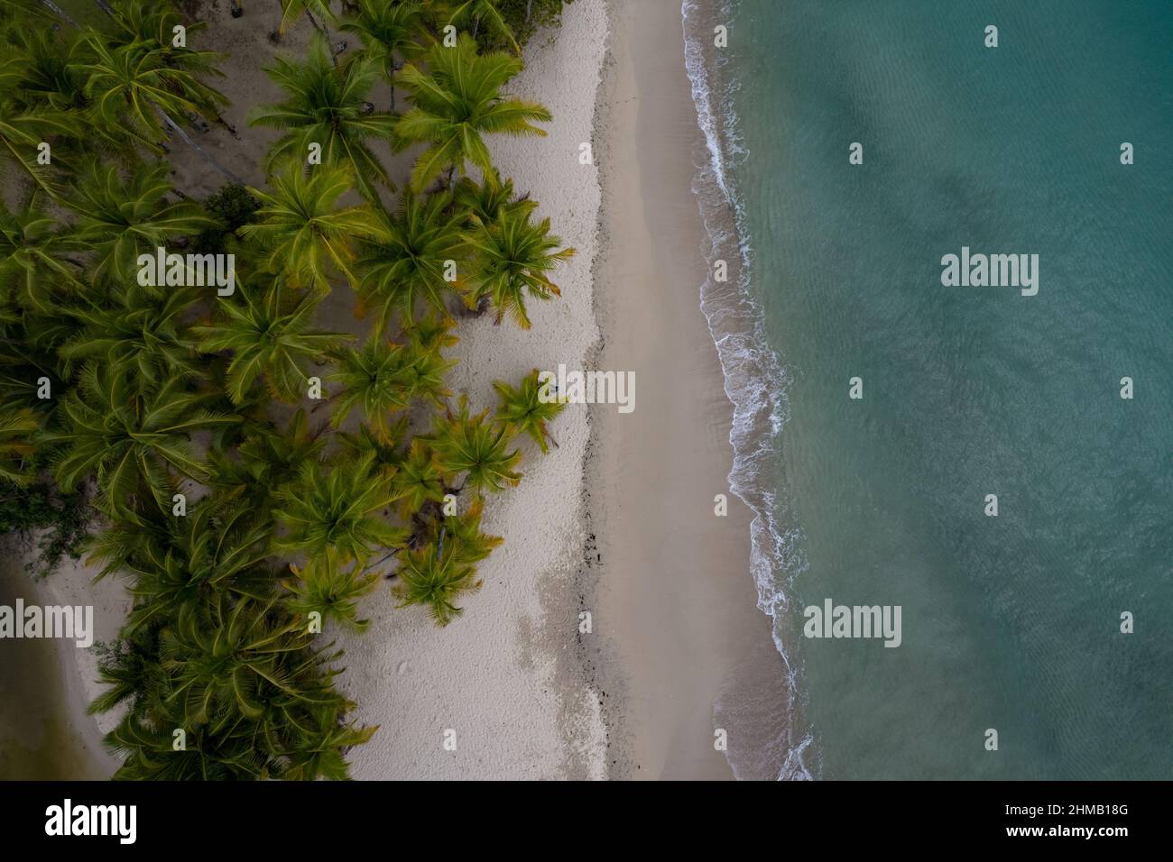 Luftaufnahme eines Plam-Strandes auf der Isla Coiba Stockfoto