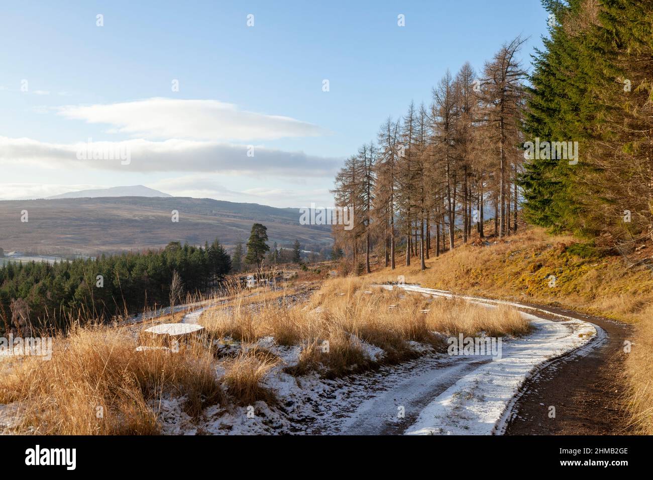 Ein eisiger Waldweg durch die Hügel in der Nähe von Blair Atholl Stockfoto