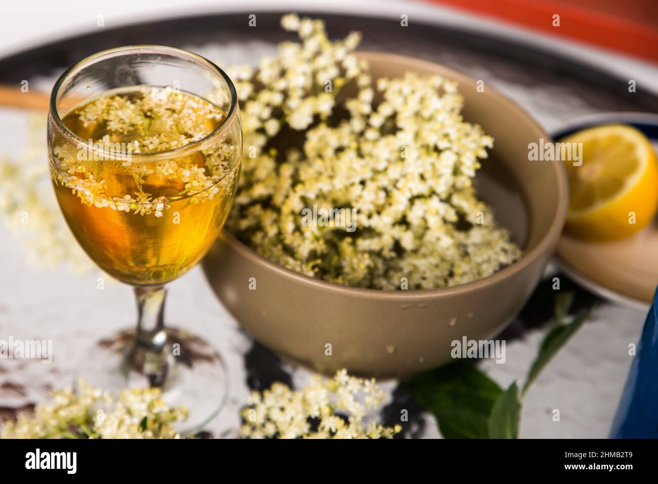 Vorbereitung von gesunden frischen Holunderbeerengetränk. Glas und Schüssel mit blühender Holunderblüte und Getränk, Zitrone auf dem Tisch. Stockfoto