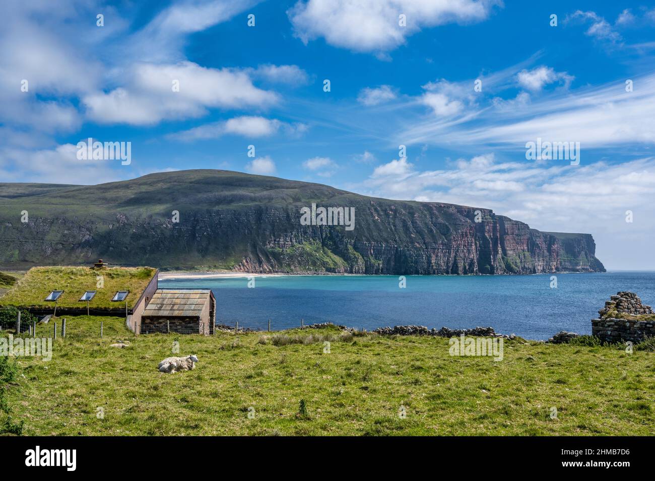 Ferienhaus mit Schafen mit Blick auf Rackwick Bay, Isle of Hoy, Orkney, Schottland, Großbritannien Stockfoto