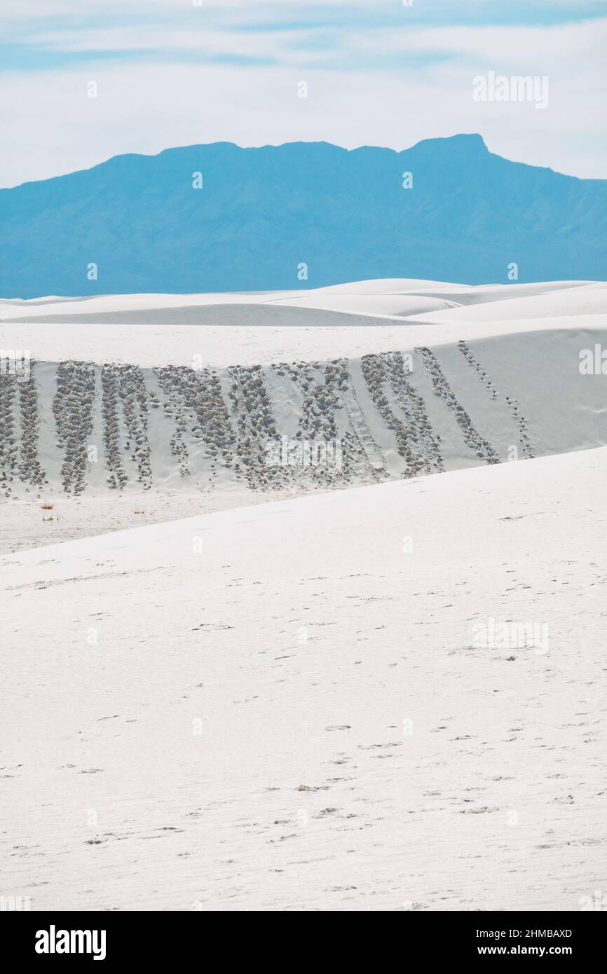 Die weitläufigen, hellen Gipsdünen im White Sands National Park, New Mexico, USA Stockfoto