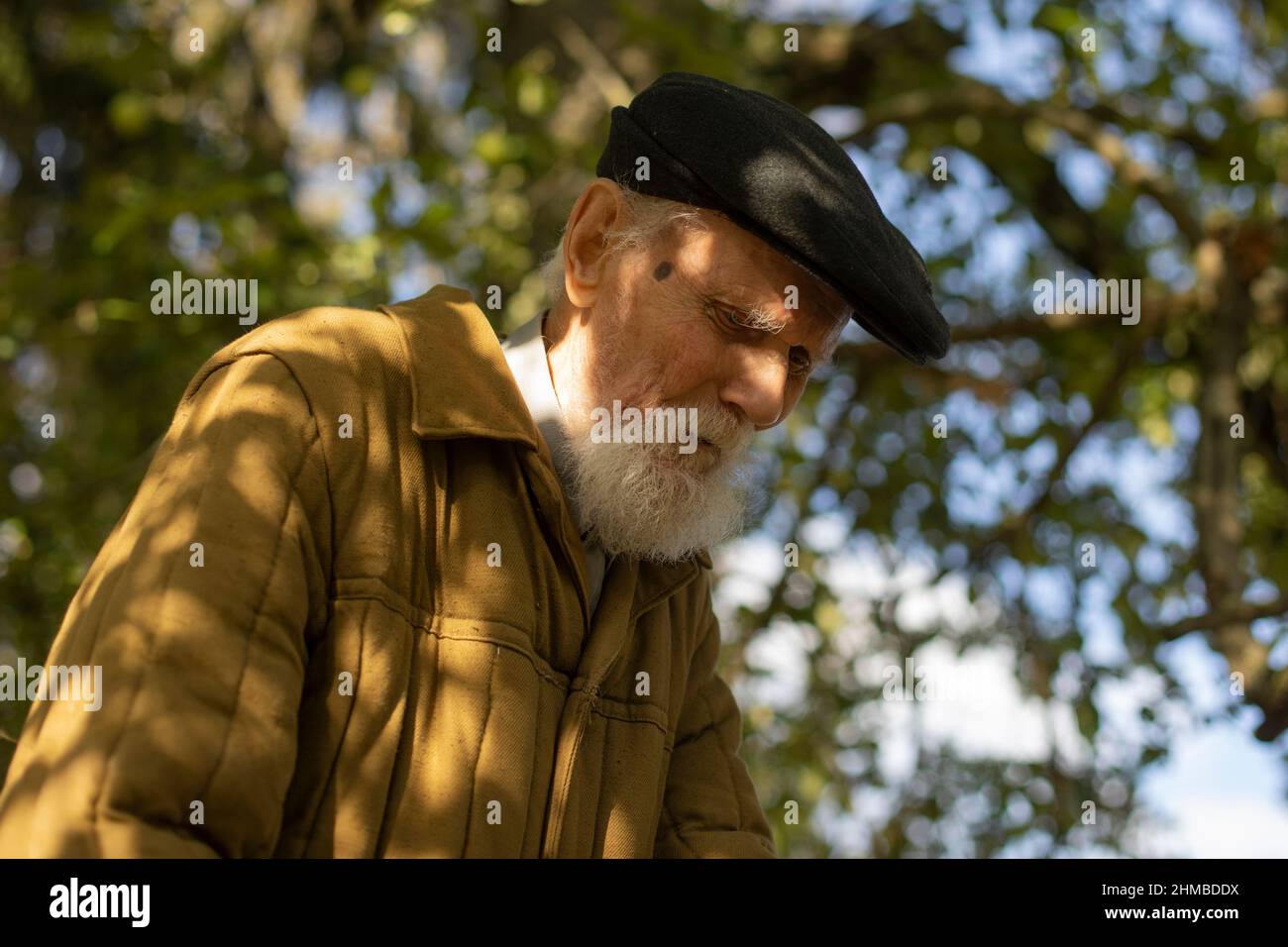 Ein alter Mann im Schatten. Ein Mann mit einem grauen Bart. Großvater an einem sonnigen Tag im Garten. Stockfoto