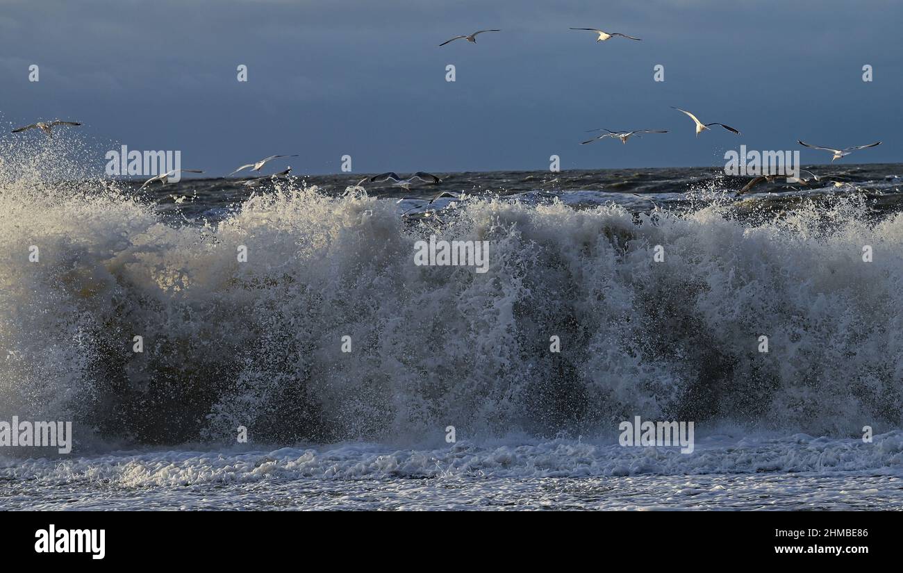 Agger, Dänemark. 02nd. Februar 2022. Stürmische Brandung der Nordsee im Thy Nationalpark an der Westküste Dänemarks. Quelle: Patrick Pleul/dpa-Zentralbild/ZB/dpa/Alamy Live News Stockfoto