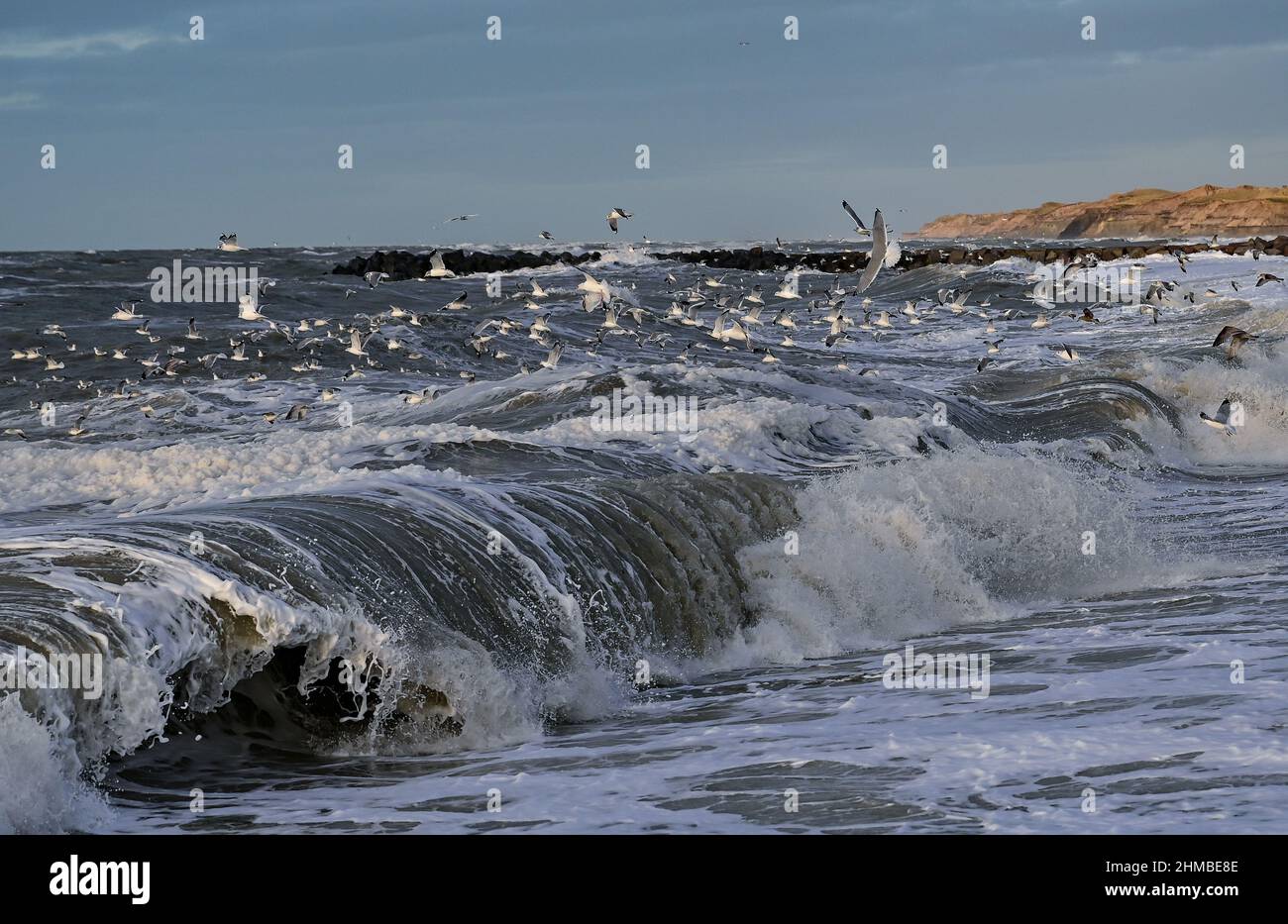 Agger, Dänemark. 02nd. Februar 2022. Stürmische Brandung der Nordsee im Thy Nationalpark an der Westküste Dänemarks. Quelle: Patrick Pleul/dpa-Zentralbild/ZB/dpa/Alamy Live News Stockfoto