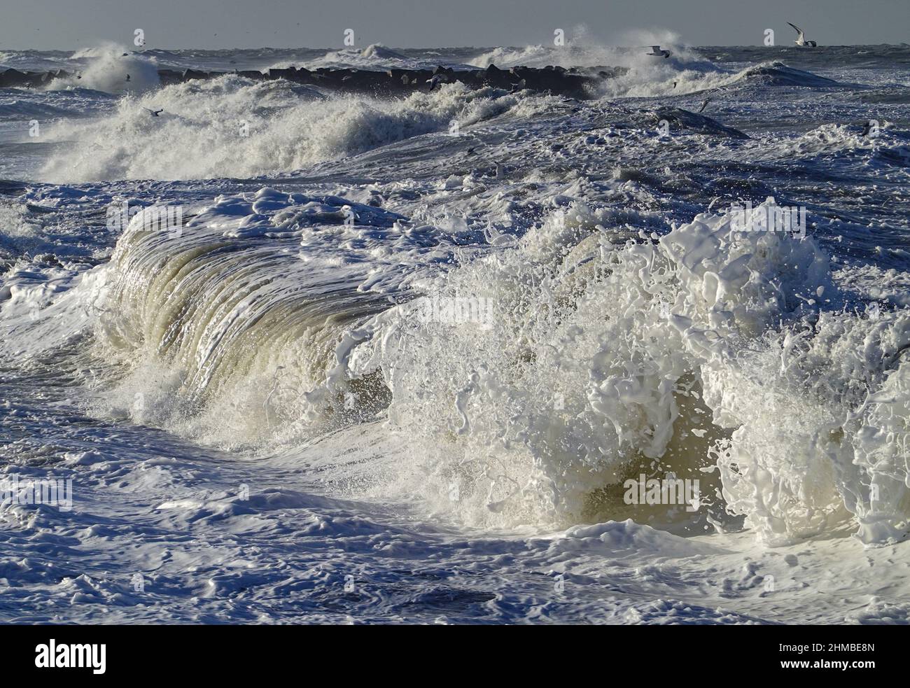 Agger, Dänemark. 02nd. Februar 2022. Eine Welle der Nordsee im Thy Nationalpark an der Westküste Dänemarks. Quelle: Patrick Pleul/dpa-Zentralbild/ZB/dpa/Alamy Live News Stockfoto