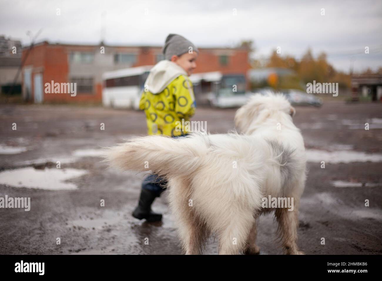 Ein Kind rennt die Straße hinunter von einem Hund. Ein Junge spielt mit einem weißen Hund und springt durch die Pfützen. Fröhliches hyperaktives Kind. Sommerspaß ohne Th Stockfoto