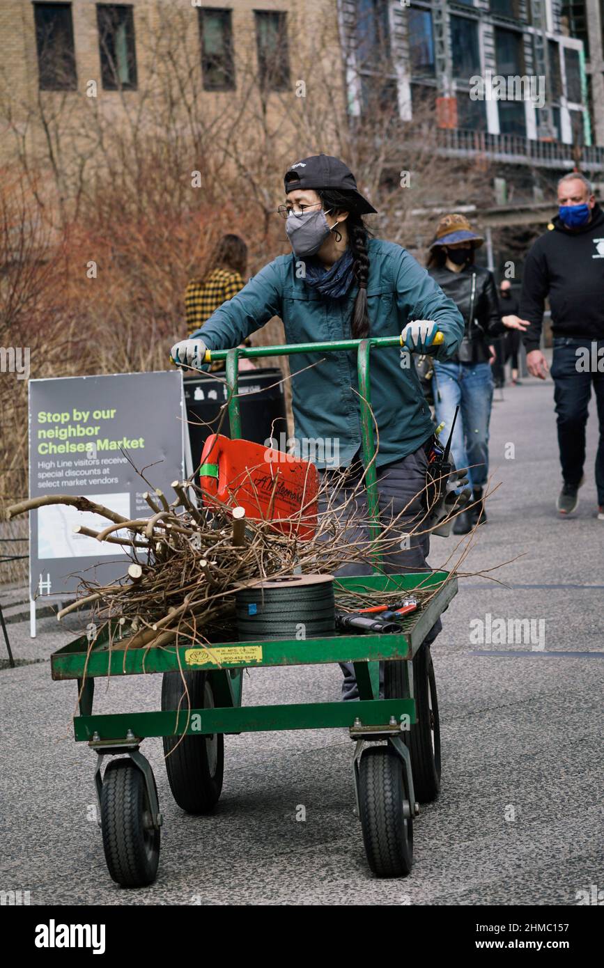 The High Line, eine gemeinnützige Organisation und der beliebte öffentliche Park von New York, der vom niederländischen Gärtner Pete Oudolf entworfen wurde, wird größtenteils von Freiwilligen unterhalten Stockfoto