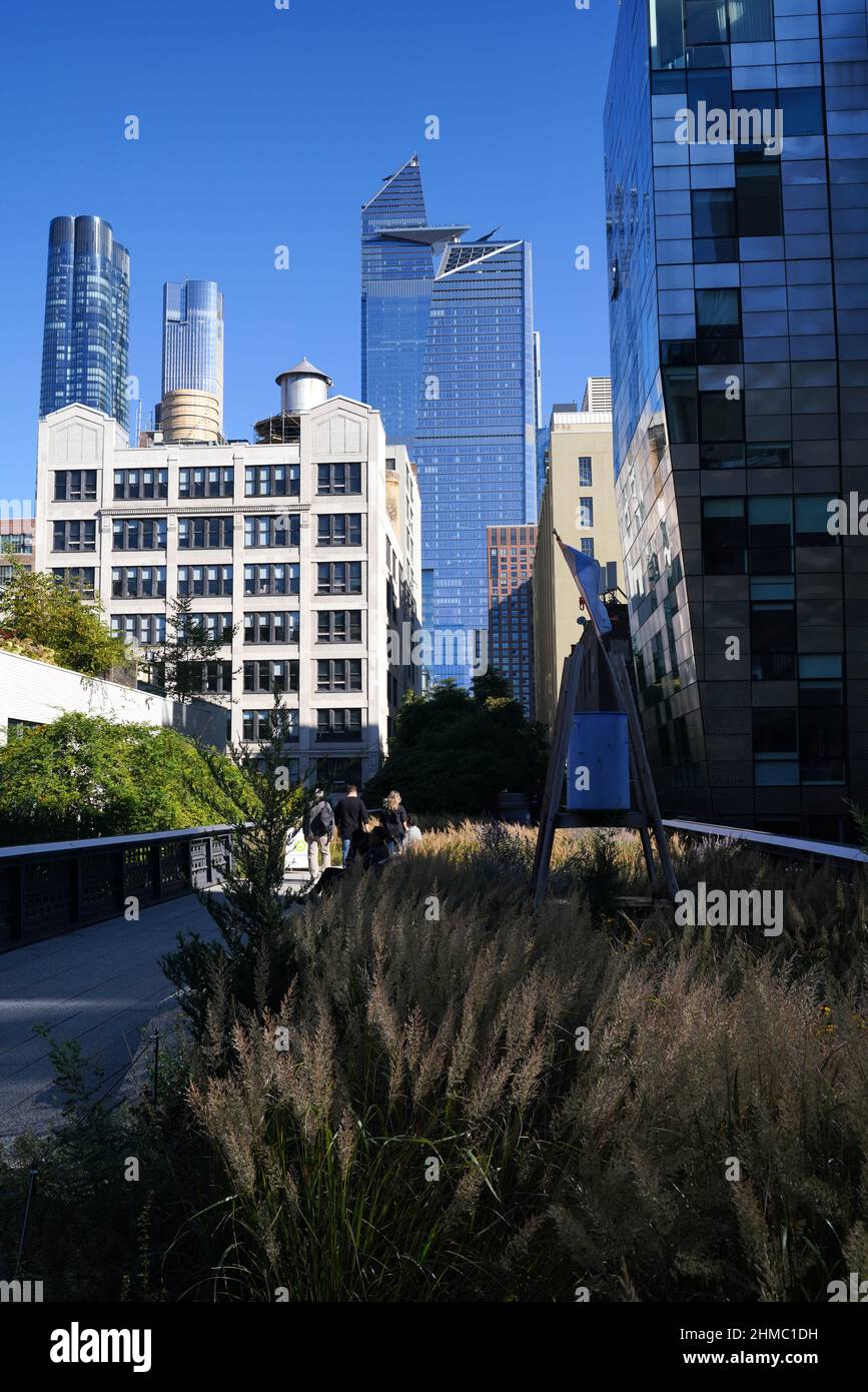 Pflanzen auf der High Line – Präriegräser, sonnenliebende Stauden, Bäume und Sträucher – rufen einen wilden Raum hervor. Stimmungen und Texturen ändern sich mit den Jahreszeiten. Stockfoto