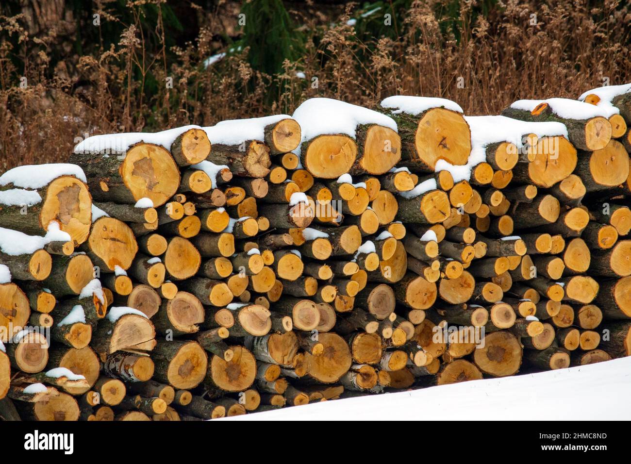 Ein Stapel geschnittenes Brennholz im Schnee in den Pocono Mountains in Pennsylvania Stockfoto