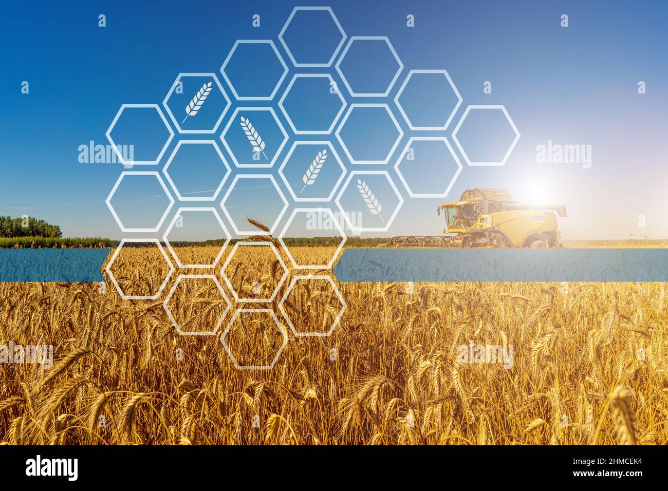 Landwirtschaftliche Hintergrund mit einem Mähdrescher auf einem Getreidefeld und Infografiken. Stockfoto