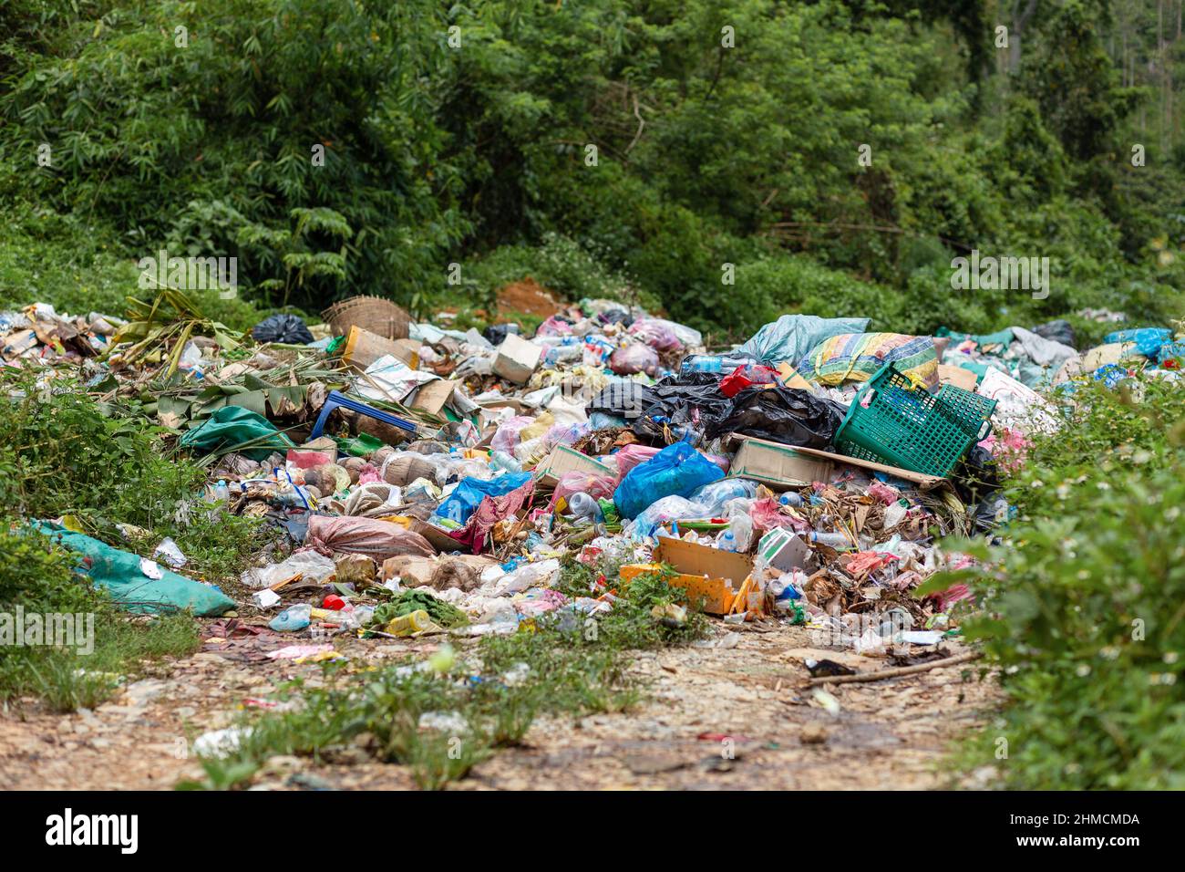 Verschmutzung durch Müll, der in der Natur deponiert wird Stockfoto