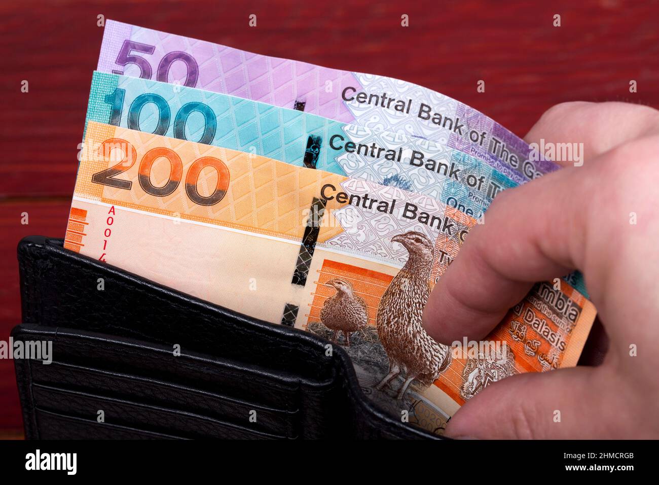 Gambische Geld - Dalasi in der schwarzen Brieftasche Stockfoto