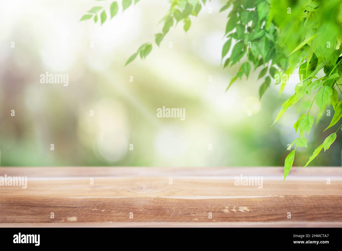 Holzoberfläche mit Natur frischen Sommer grünen Blättern Hintergrund Stockfoto