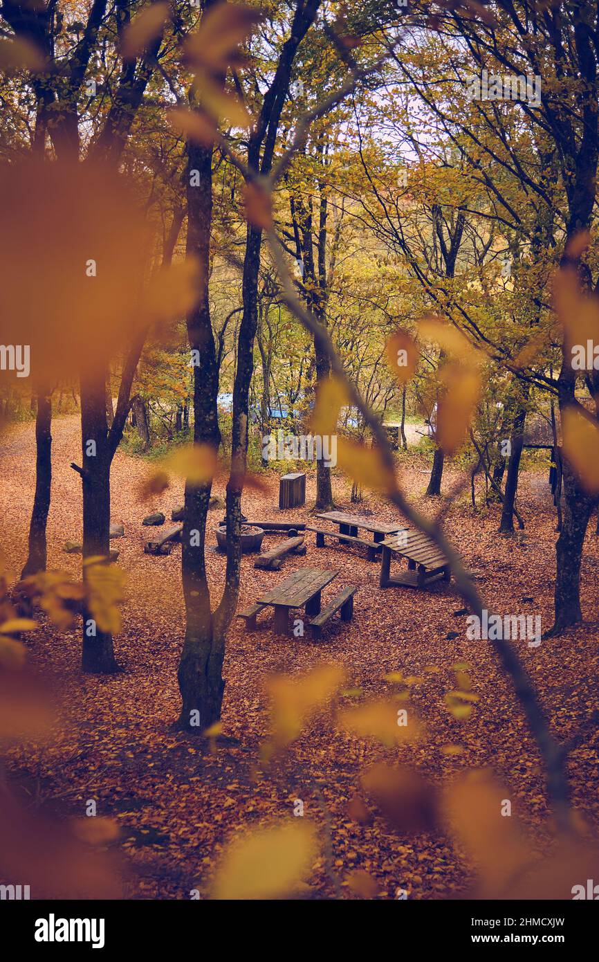 Freier Waldcampingplatz in Dänemark. Hochwertige Fotos Stockfoto