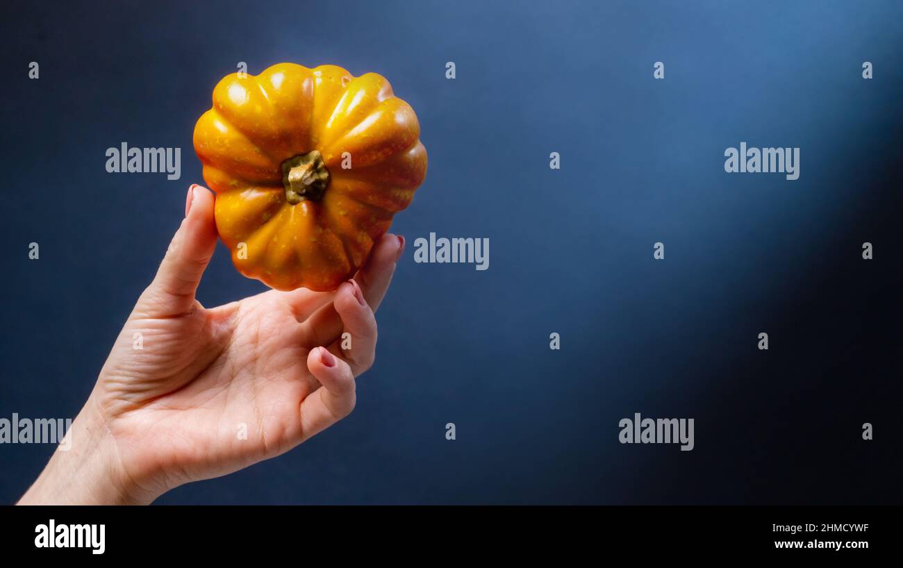 Hand hält Kürbis Stockfoto