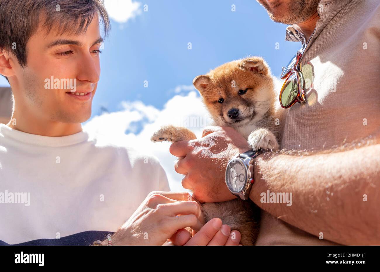 Schwule Paare umarmen ihren kleinen Welpen Hund (shiba inu). Zwei junge Männer. Im Freien Stockfoto
