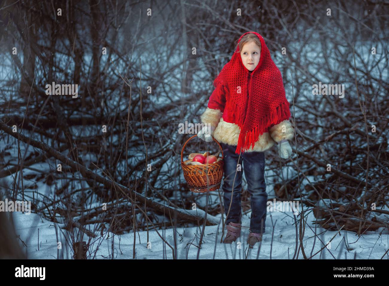 Porträt eines niedlichen kleinen Mädchens in einem roten Pelzmantel im Winterwald. Sie hält einen Korb mit Kuchen und Äpfeln in ihren Händen. Stockfoto