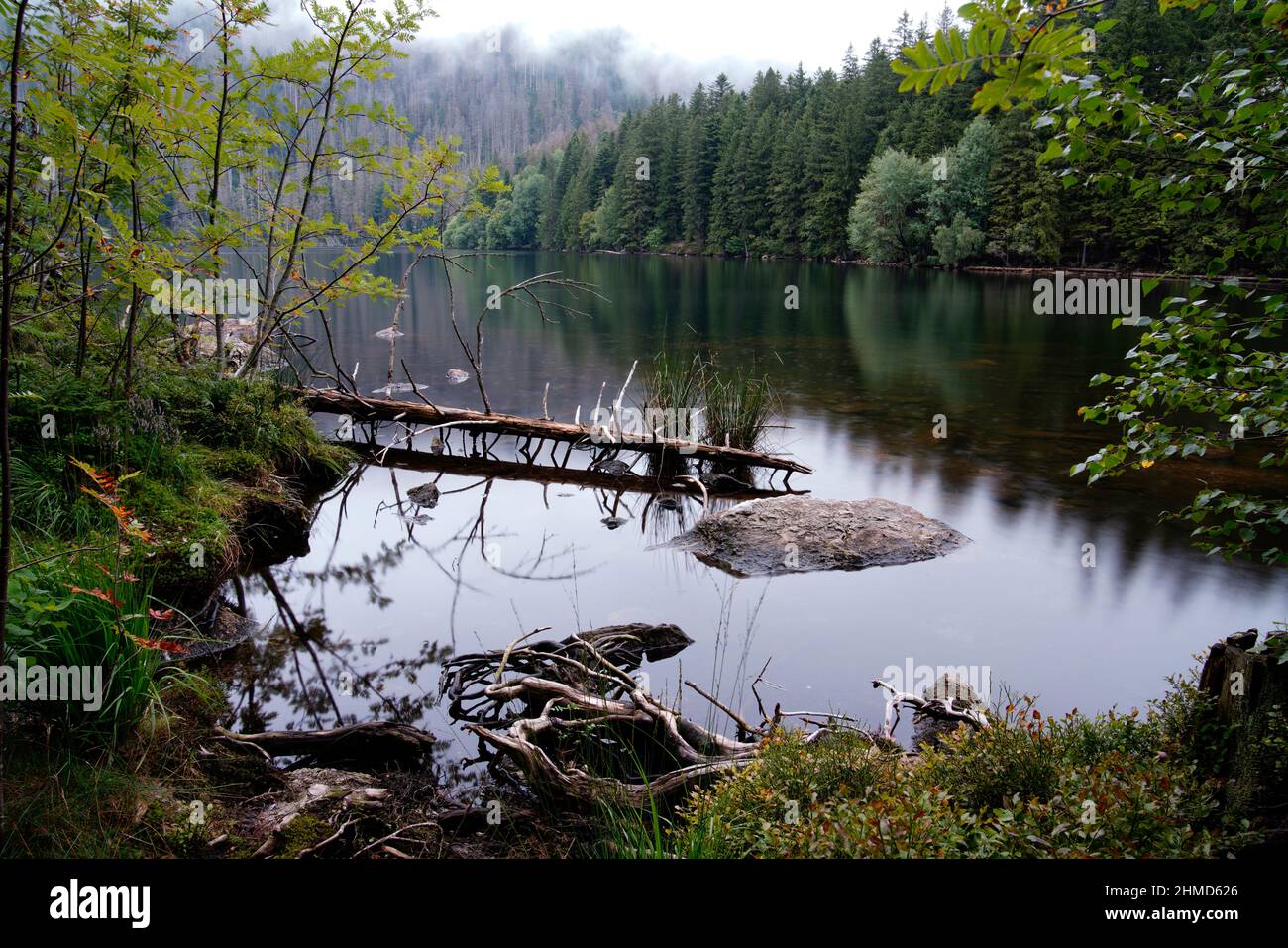 Schwarzsee, Schwarzsee, Böhmerwald, Region Pilsen, Tschechische Republik Stockfoto